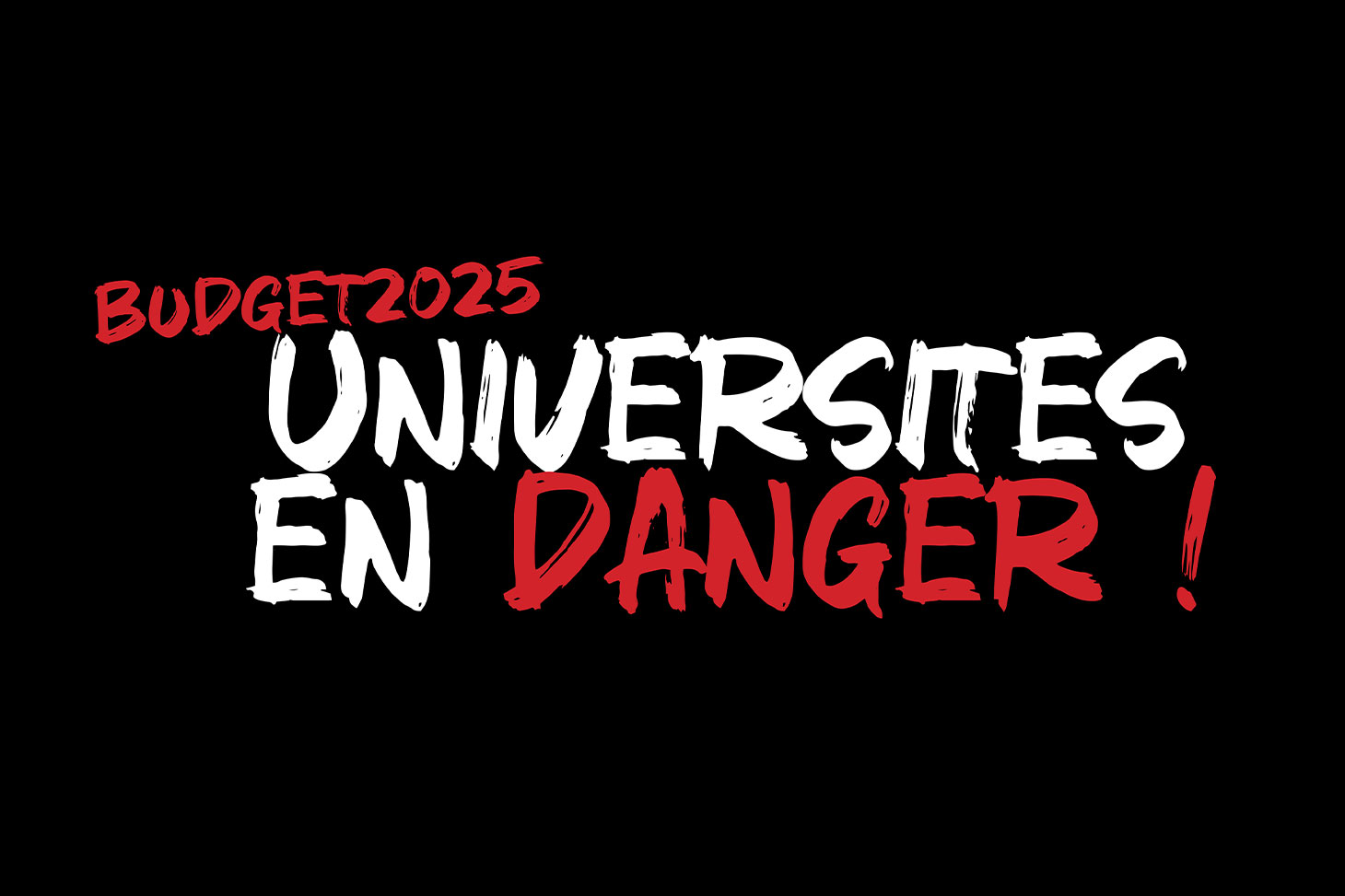 Logo de la campagne Budget 2025 université en danger