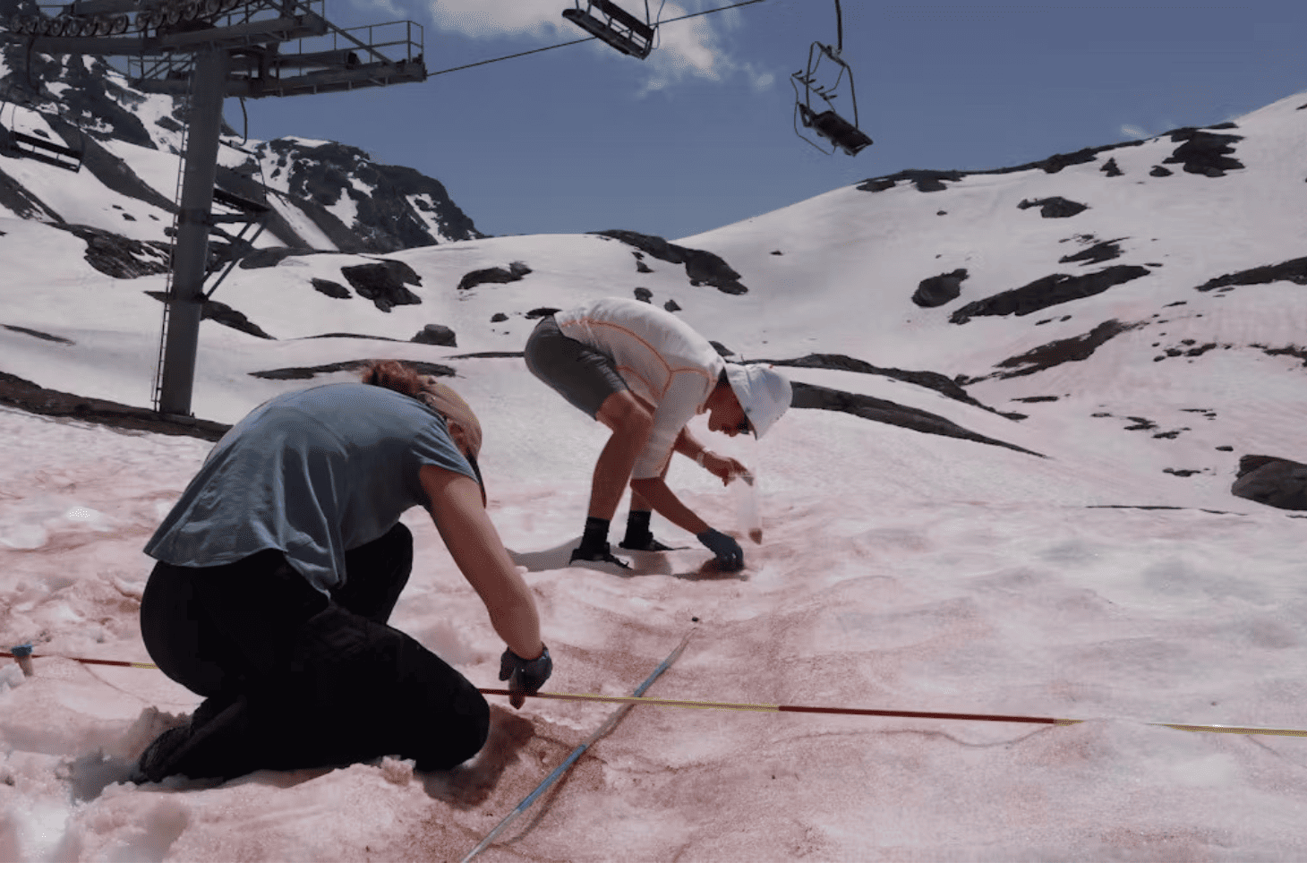 Prélèvement d’échantillons d’algues aux Arcs, dans les Alpes, en juin 2024. Thomas Pauze, Fourni par l'auteur