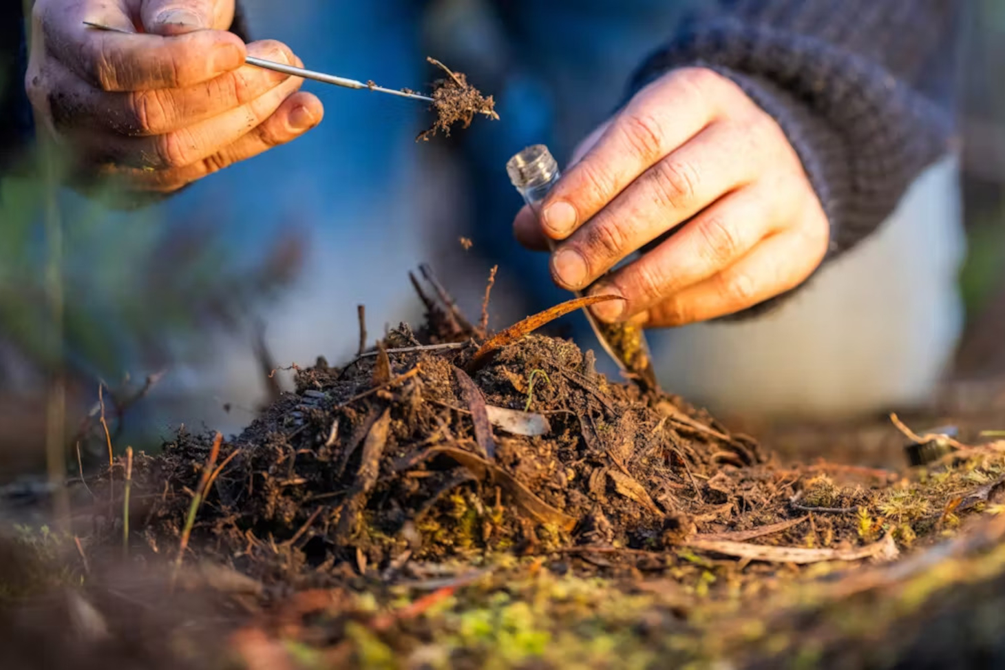 Sur le terrain, la collecte de données pourrait être plus mutualisée pour minimiser l'empreinte carbone de la recherche. William Edge/Shutterstock