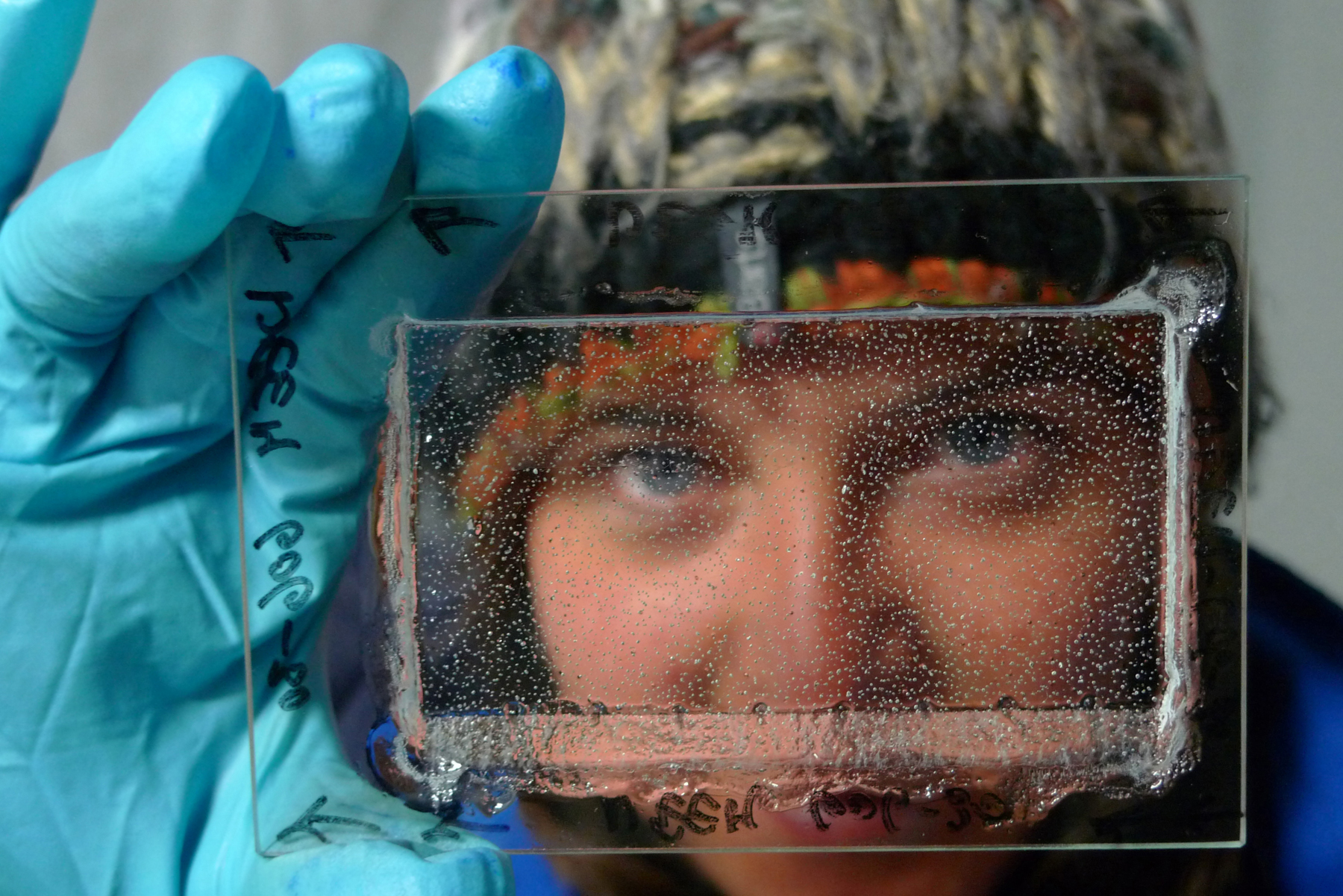 Émilie Capron, co-auteur de l'étude, observe des bulles d'air piégées dans la glace de l'Antarctique. © Sepp Kipfstuhl, Alfred Wegener Institute. 